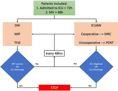 Occurrence and Effects on Weaning From Mechanical Ventilation of Intensive Care Unit Acquired and Diaphragm Weakness: A Pilot Study